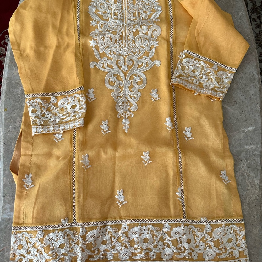 Pakistani brand new 3 piece full embroidered party dress